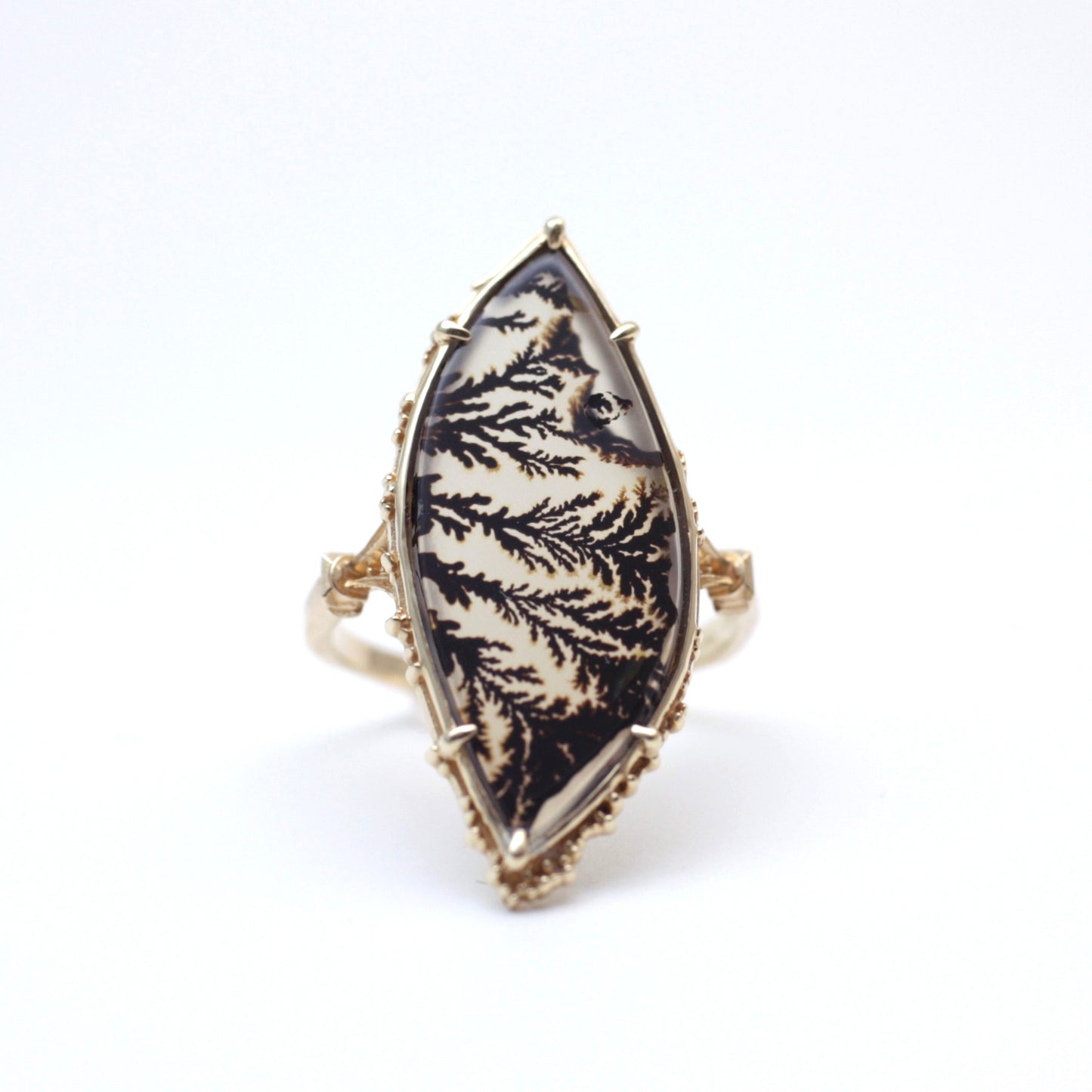 2116 Dendritic Agate