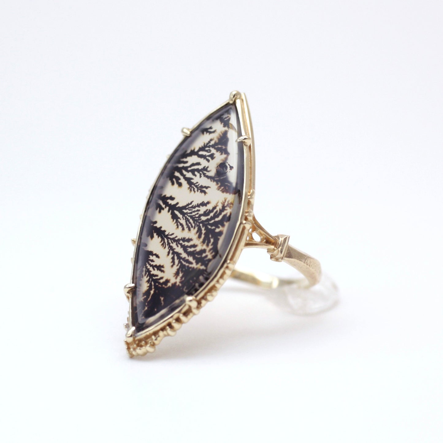 2116 Dendritic Agate
