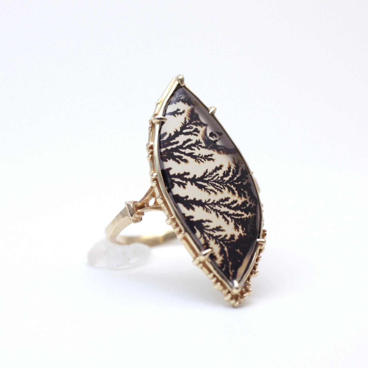 2116 Dendritic Agate
