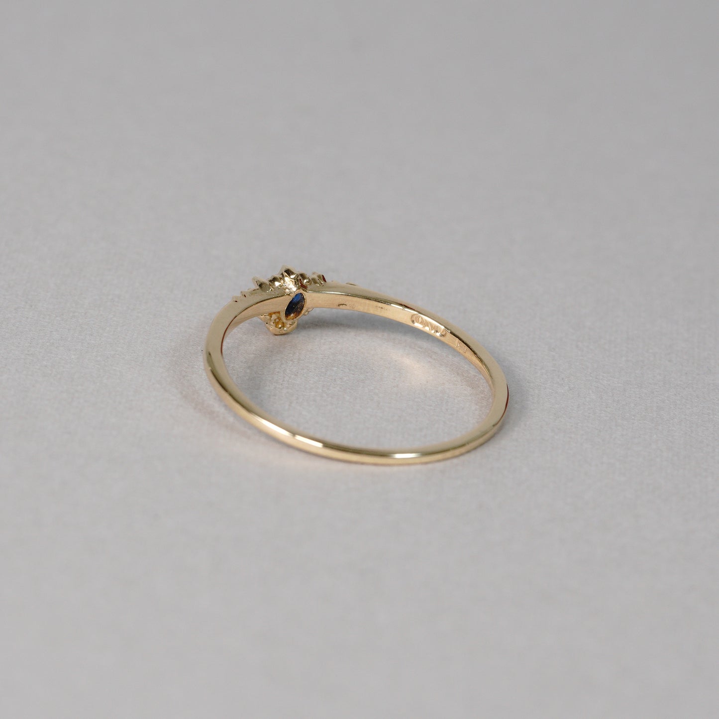 1365 Hauynite Ring
