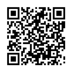 293 Catseye Rutile Quartz Ring