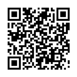 313 Lepidocrocite in Quartz Ring