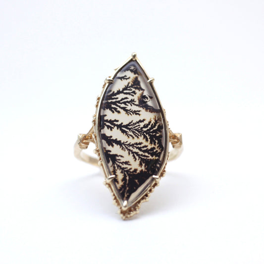2116 Dendritic Agate
