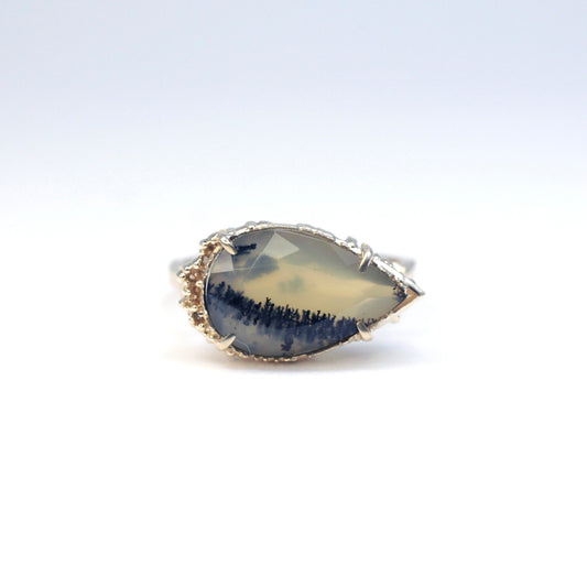 2070 Dendritic Agate