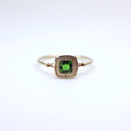 2311 Chrome Diopside