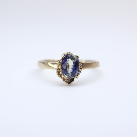 2325 Bicolor Sapphire