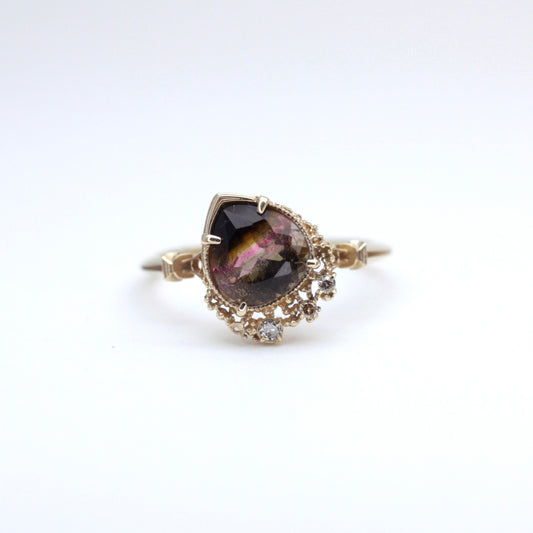 2283 Bicolor Tourmaline