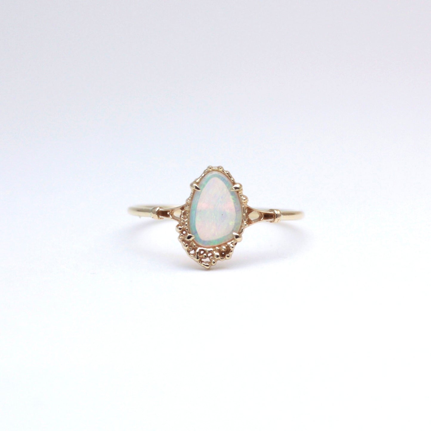 2081 Shell Opal