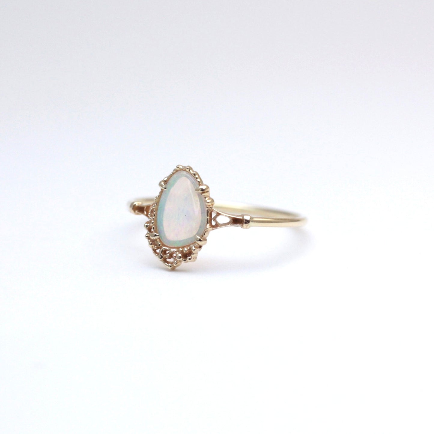 2081 Shell Opal