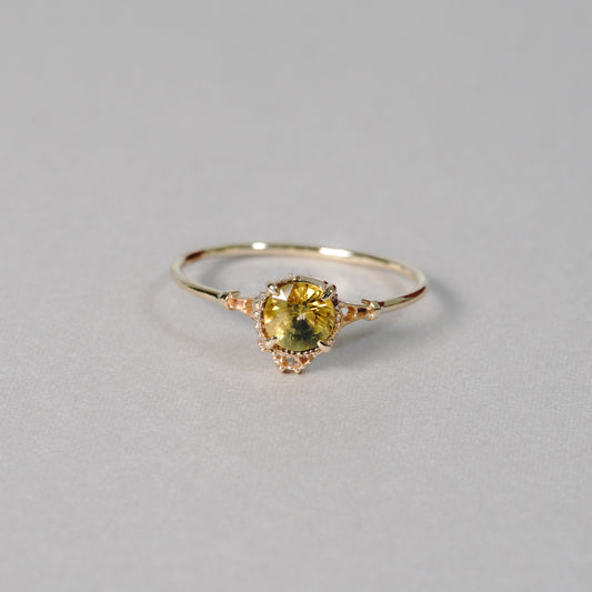 1421 Bicolor Sapphire Ring